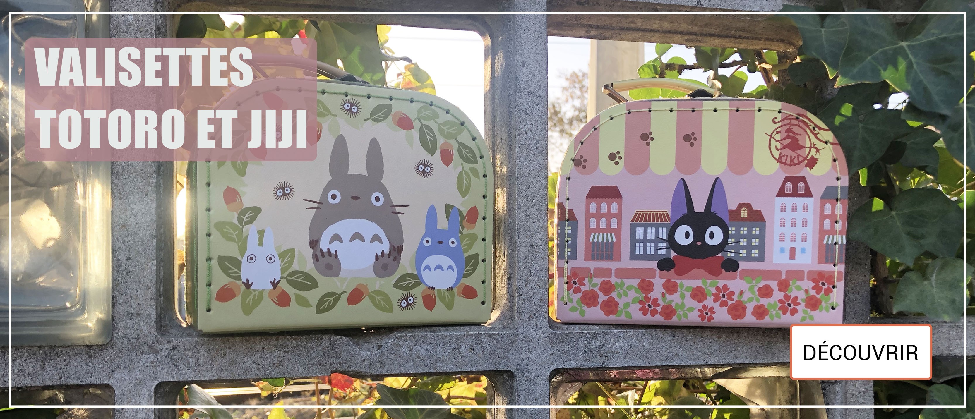 Valisette Totoro et Jiji